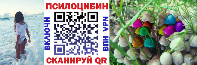 Псилоцибиновые грибы мицелий  МЕГА сайт  Бикин 